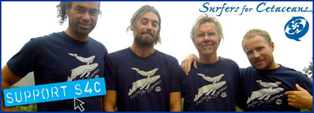 Support S4C - Tees - T-shirts