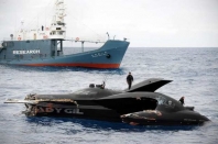 Ady Gil Struck by Japanese Whaling Ship