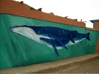Taghazout School Mural