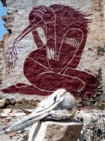 Dolphin Skull