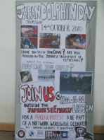 Japan Dolphin Day 