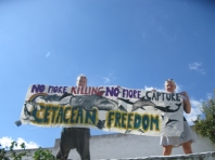 Cetacean Freedom