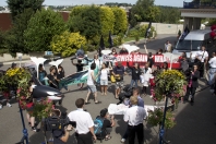 IWC protest