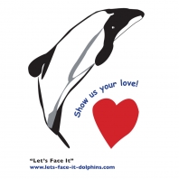 Peggy Oki lets-face-it-dolphins.com